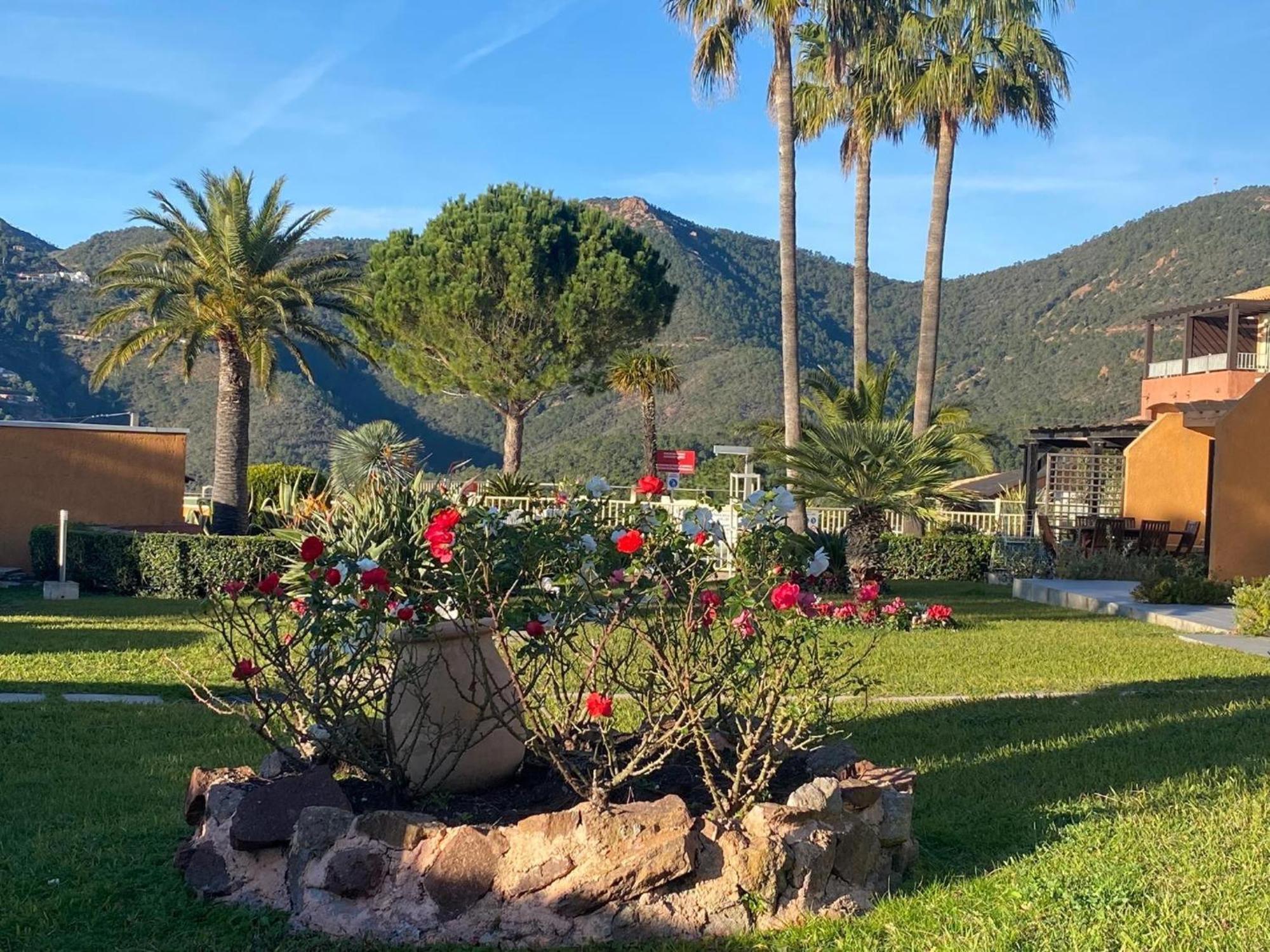 Vue Mer Et Jardin Theoule-sur-Mer Luaran gambar